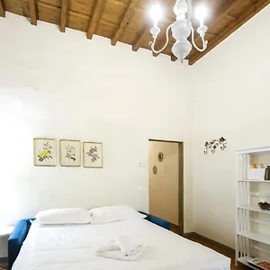 Appartamento Roomy&elegant By Piazza Pitti, Firenze